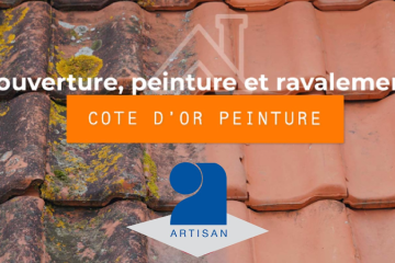 COTE D’OR PEINTURE DIJON ARTISAN PEINTRE COUVERTURE NETTOYAGE DÉMOUSSAGE RÉNOVAT - façadier enduiseur à Dijon
