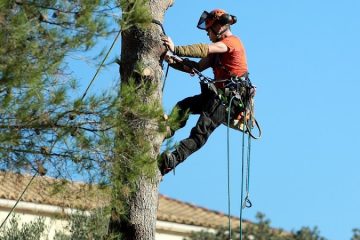 Élagage - Peintre en bâtiment AGDE BRL34 - façadier enduiseur à Agde