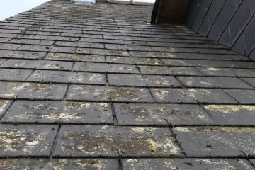 Ent.Huet Mario COUVERTURE,PEINTURE,NETTOYAGE, DEMOUSSAGE - façadier enduiseur à Saint-Gilles