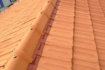 Le compagnon de la toiture artisan delporte Nîmes - façadier enduiseur à Nîmes