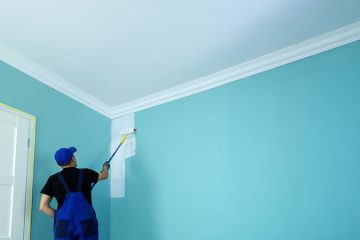 PEINTURE LAURENS - façadier enduiseur à Foix